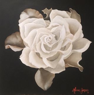 Rose str 50x50